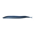 Berkley Gulp! Saltwater Sand Eel 5-inch soft bait for stripers, fluke, and weakfish