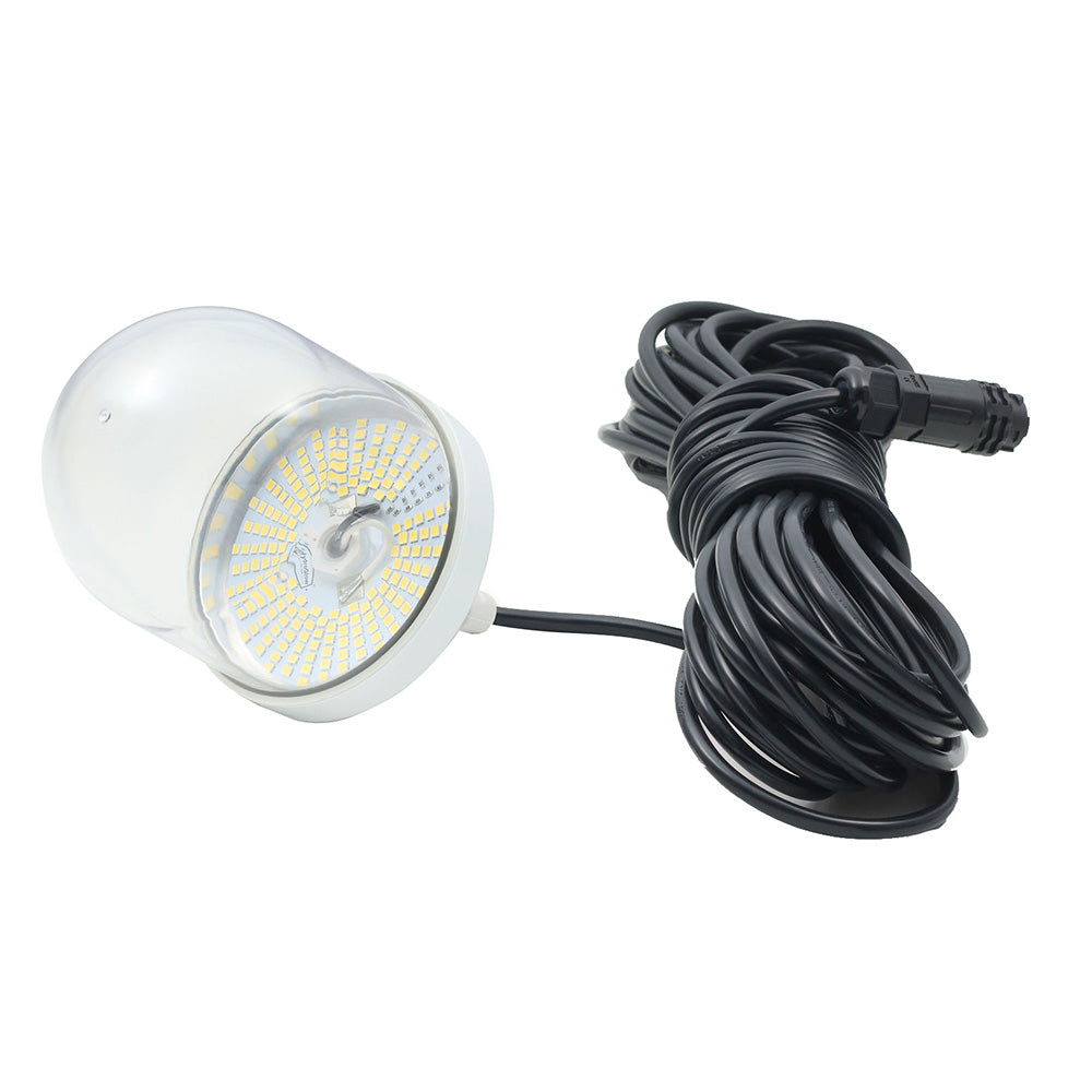 Hydro Glow SF100WW 100W 3000K warm white LED underwater dock light with HydroDome lens and 50-foot cord