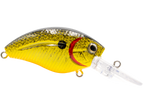 Howeller DMC Jr.