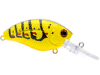 Howeller DMC Jr.