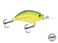 Vapor 50