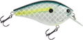 Primetyme CB 2.0