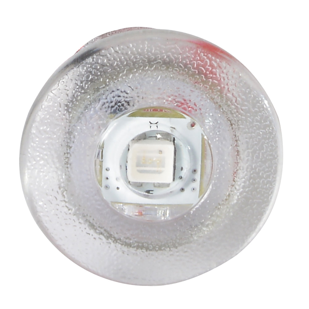 Lumitec Newt - Livewell & Courtesy Light