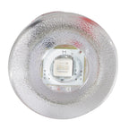 Lumitec Newt - Livewell & Courtesy Light