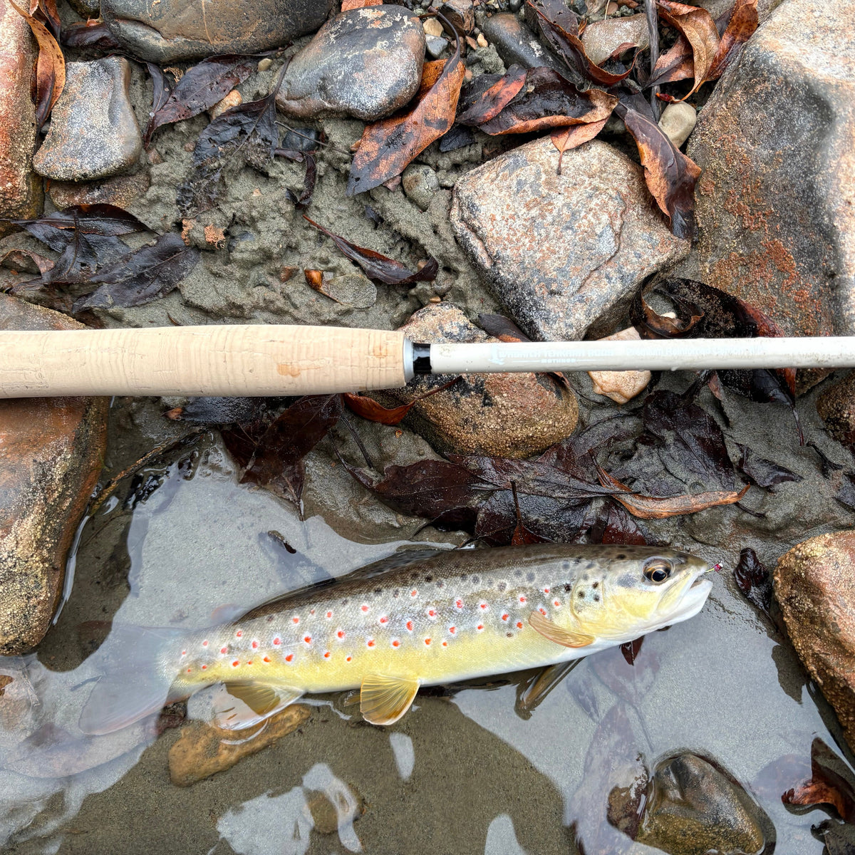 MothRod 8'5" Single-Length Tenkara Rod