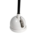 Lumitec Contour Anchor Light - 12"