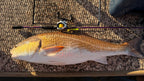 Lagniappe Series Rods