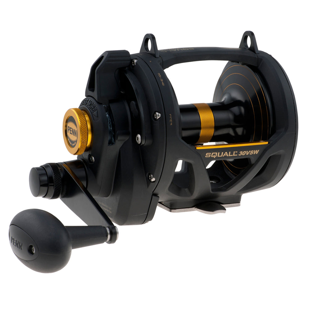 PENN SQL30VSW Squall Lever Drag 2-Speed Conventional Reel IGFA30 Black Gold