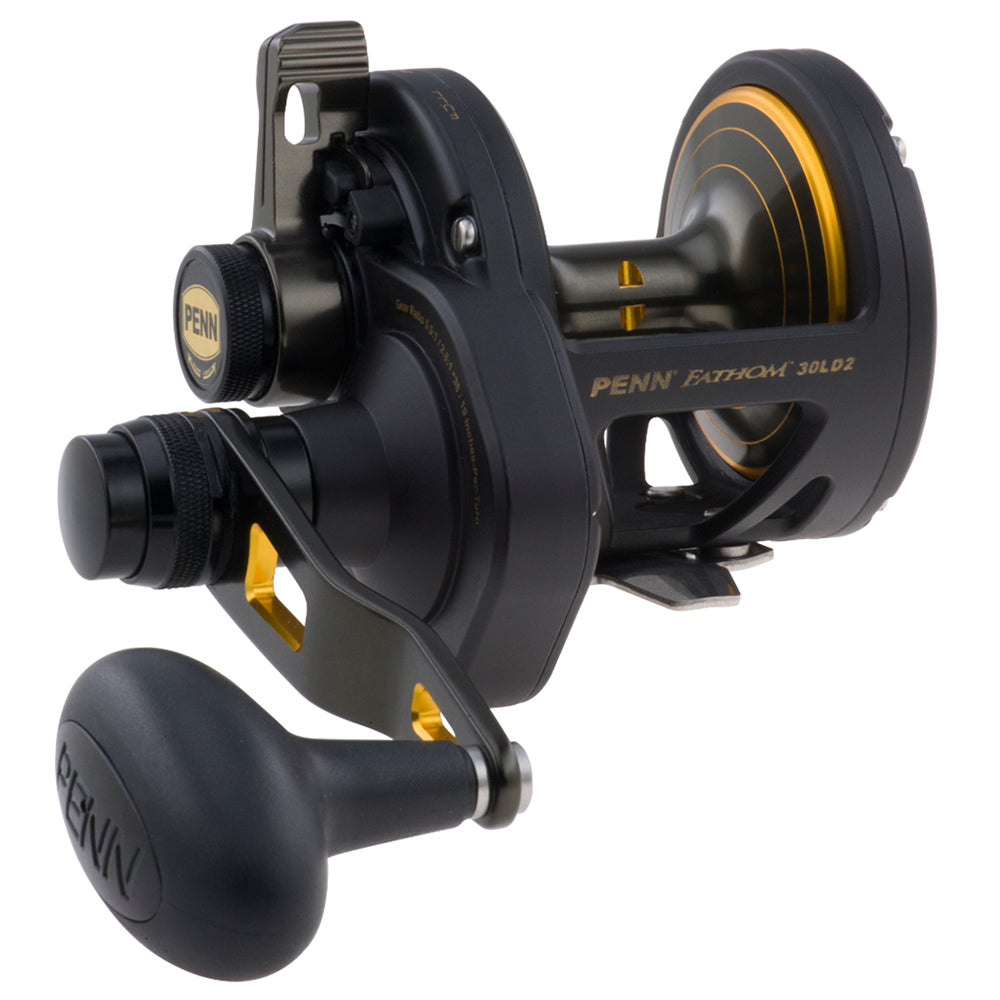 PENN FTH30LD2 Fathom Lever Drag 2-Speed Size-30 Conventional Reel in Black and Gold