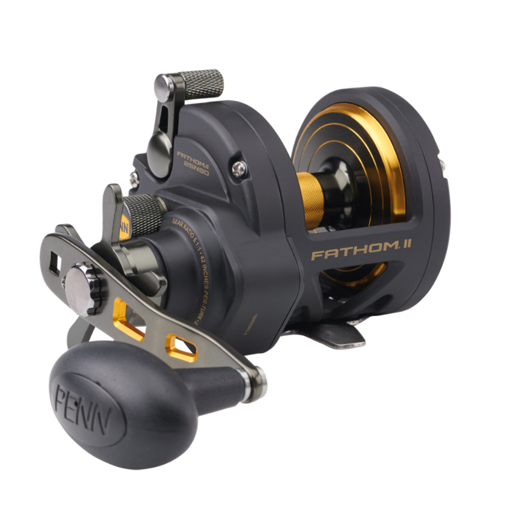 PENN FTHII25NSD Fathom II Star Drag Conventional Reel size 25 in Black/Gold