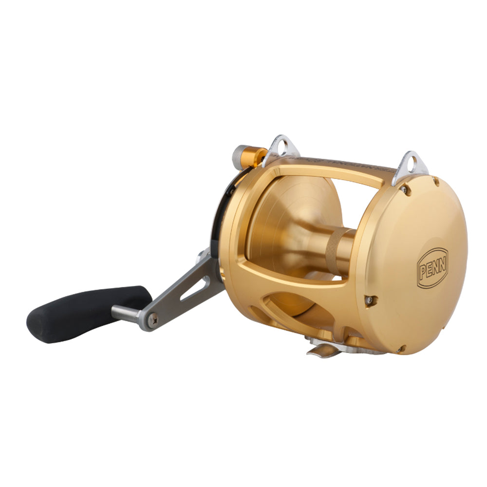PENN International 80 VISW INT80VISW 2-Speed Conventional Reel