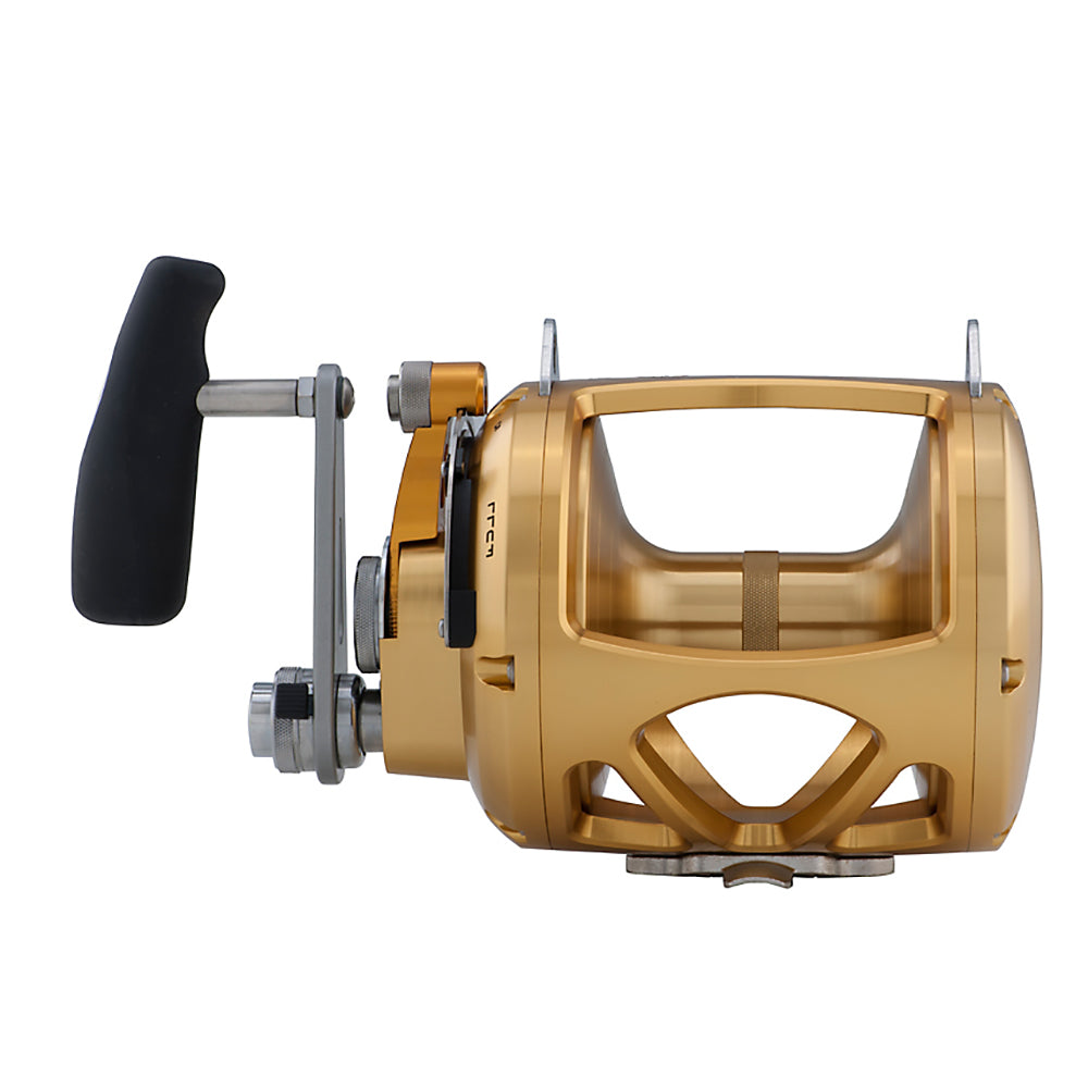 PENN International 80 VISW INT80VISW 2-Speed Conventional Reel