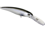 Voyager Deep