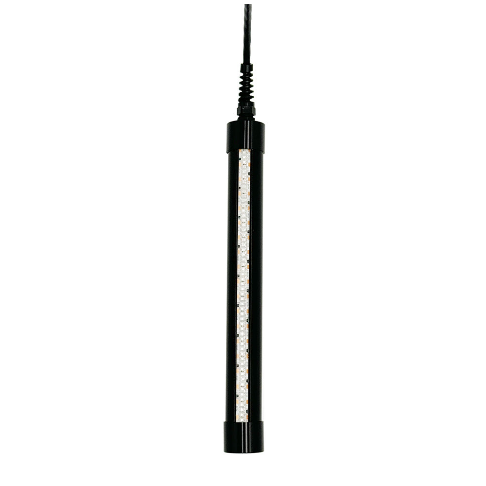 Hydro Glow HG250 21W 12V green LED underwater fishing light with 20-foot cord