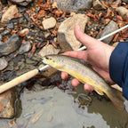 MothRod 8'5" Single-Length Tenkara Rod