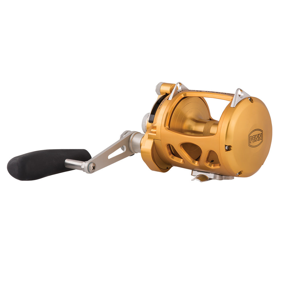 PENN International 30 VISW INT30VISW 2-Speed Conventional Reel