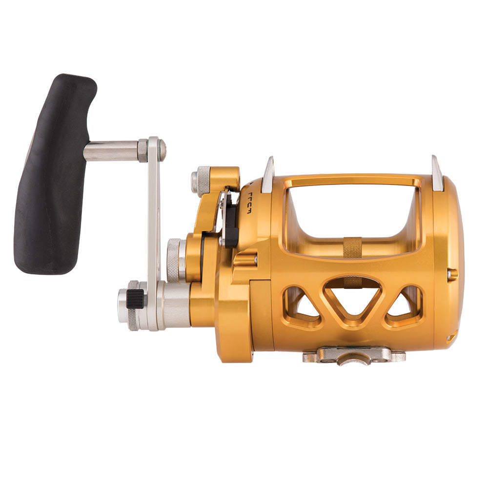 PENN International 30 VISW INT30VISW 2-Speed Conventional Reel