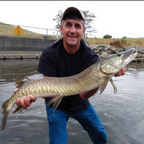 RodZilla 16'/17'6" Double Zoom 8:2 Tenkara Rod