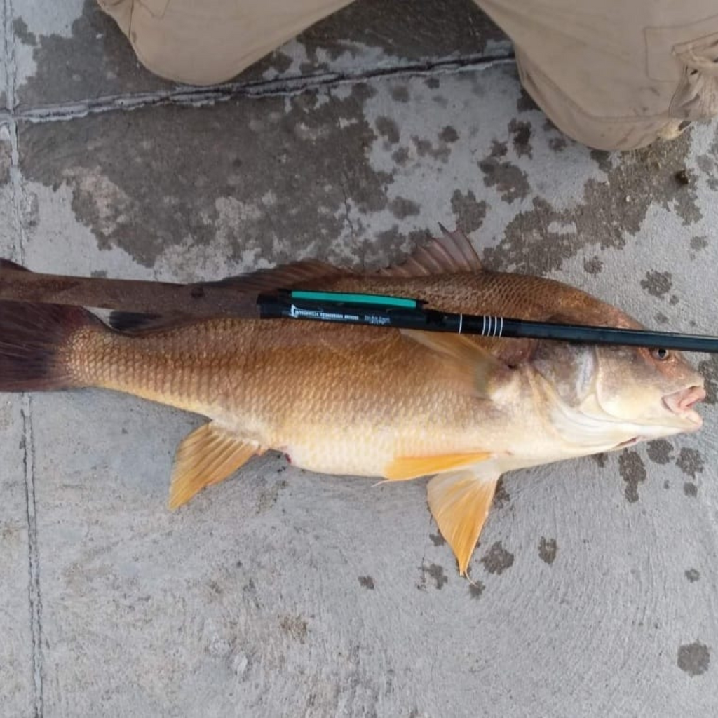 RodZilla 16'/17'6" Double Zoom 8:2 Tenkara Rod