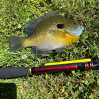 Akai Samurai Triple Zoom Tenkara Rod 11–13 ft