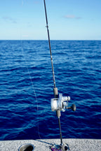 Vibe Series Slow Pitch Jigging Rods
