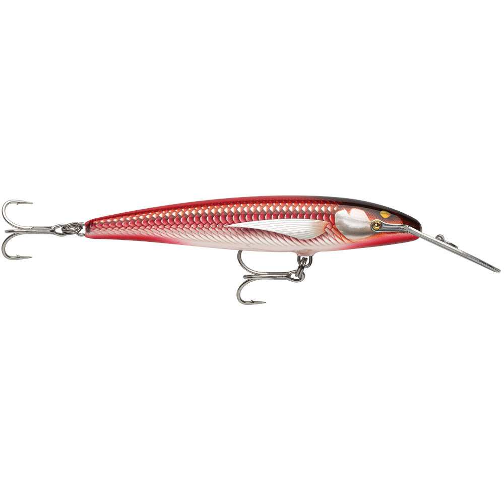 Rapala CountDown Magnum Elite 145 5-3/4" Armored Real Red Bait saltwater sinking lure