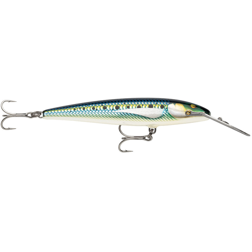 Rapala CountDown Magnum Elite 185 7-inch Armored Sardine sinking saltwater lure with 3X VMC hooks