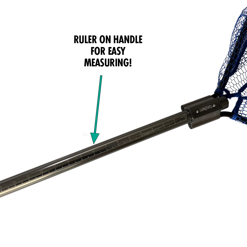 Professional Landing Net