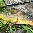 RodZilla 16'/17'6" Double Zoom 8:2 Tenkara Rod