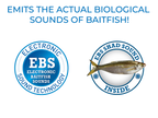 Walk N Pop 67