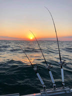 Cisco Fishing Systems Bridged Track Systems