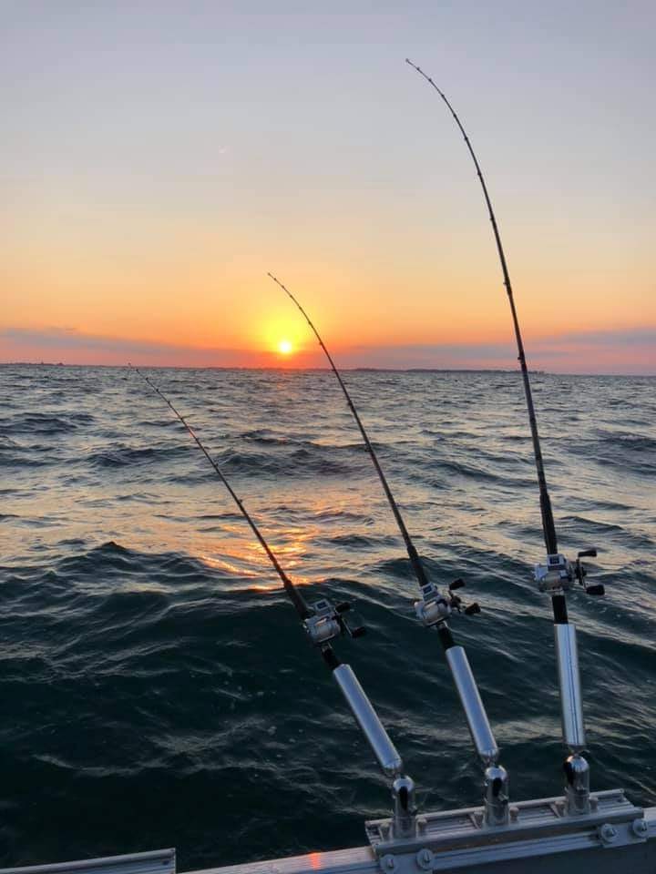 Cisco Fishing Systems Bridged Track Systems