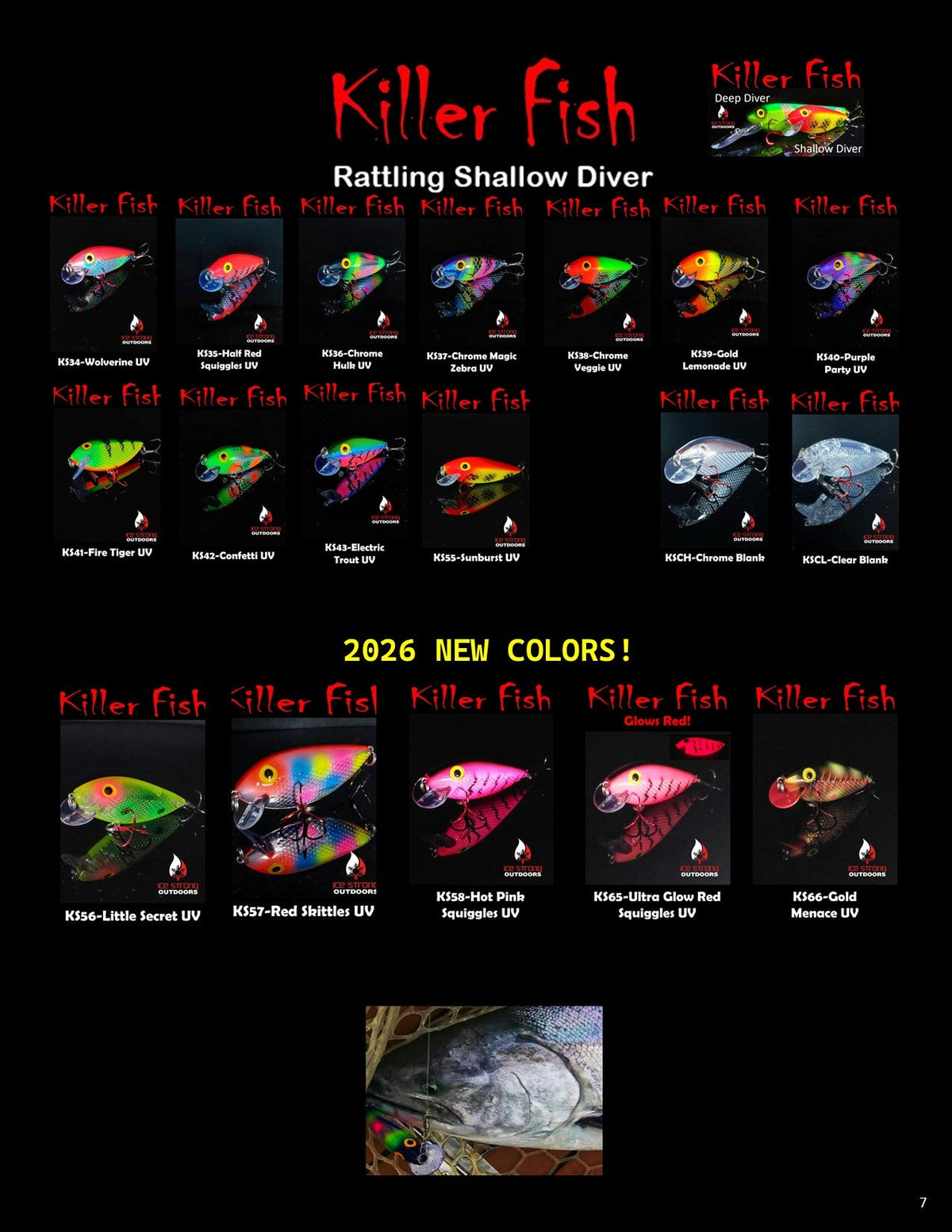 Ice Strong Outdoors - Killer Fish - Rattling Shallow Diver UV