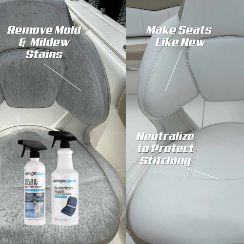 Mold Stain Removal Kit