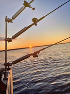 Cisco Tree Mast with 3 Adjustable Rod Holders