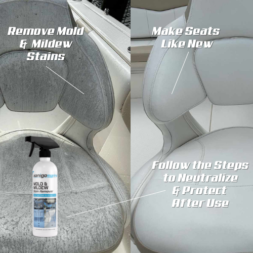 Mold & Mildew Stain Remover- 4 Pack
