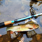 Maruki Sharpshooter Triple-Zoom Tenkara Fishing Rod