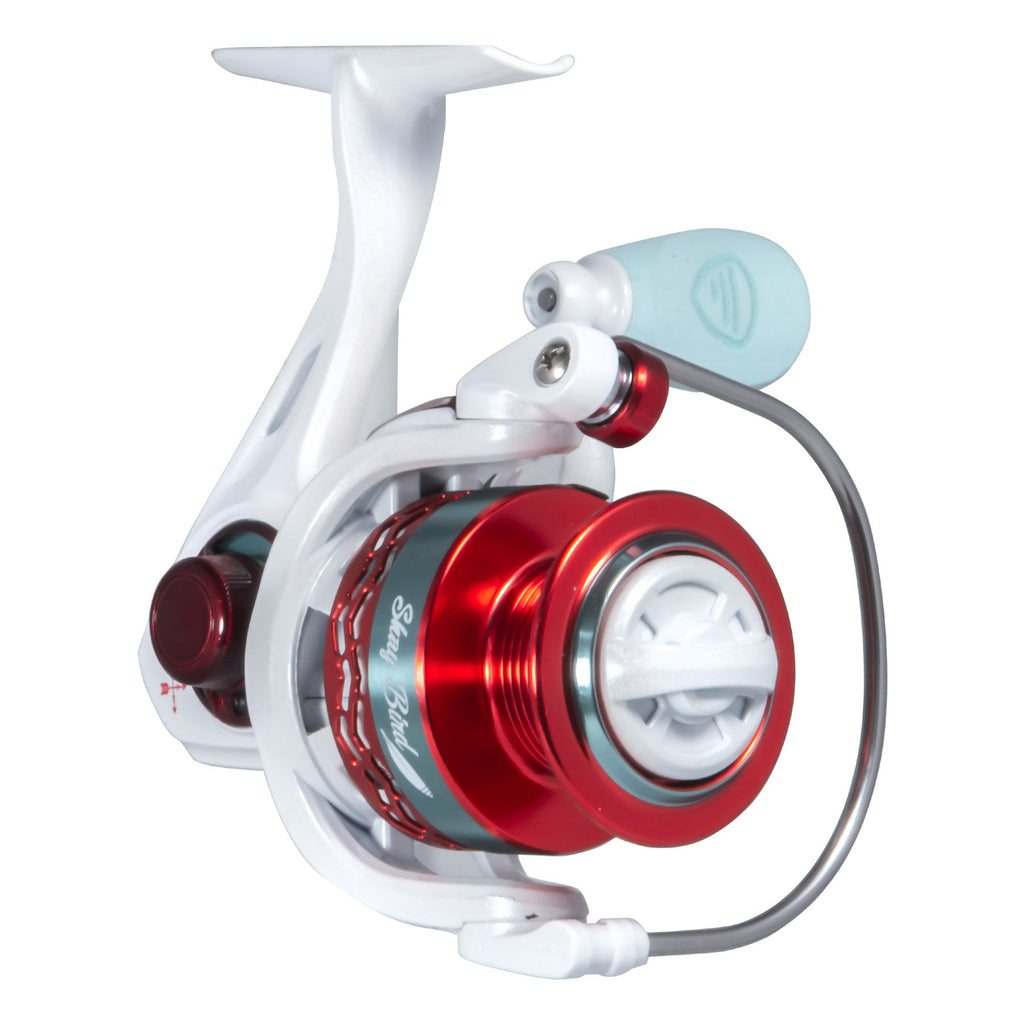 Shay Bird Spinning Combo