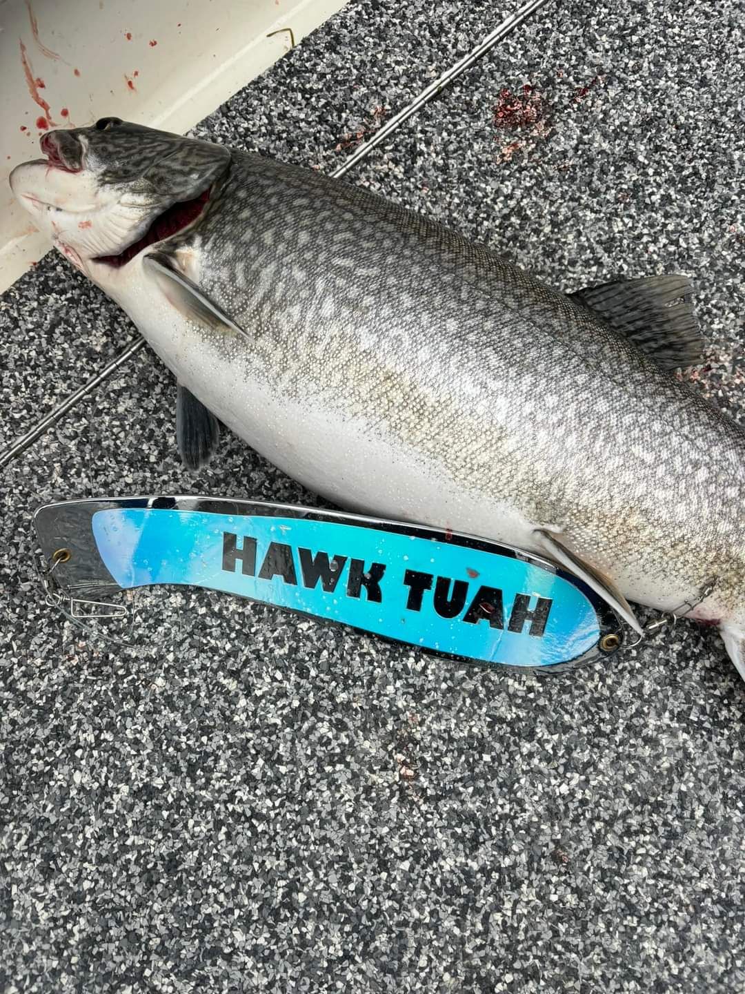 Ice Strong Outdoors - 12" Chrome JUDY or PERSONALIZED Dual Fin Fishblade!
