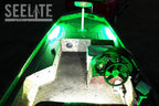SeeLite Double Trouble Lighting