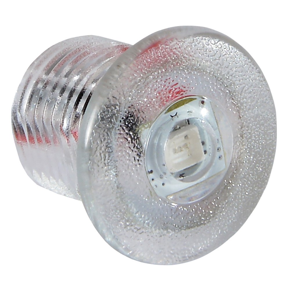 Lumitec Newt - Livewell & Courtesy Light