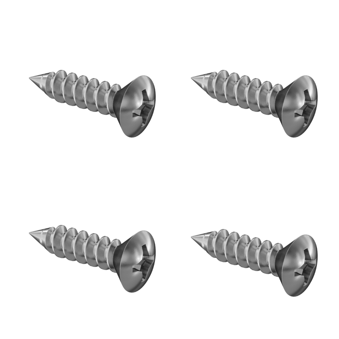 Mounting Screws