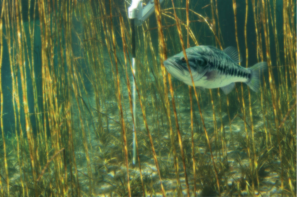 Power-Pole Blade Shallow Water Anchor