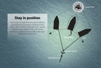Power-Pole Blade Shallow Water Anchor