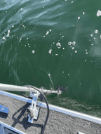 LiveSonar Transducer Mount