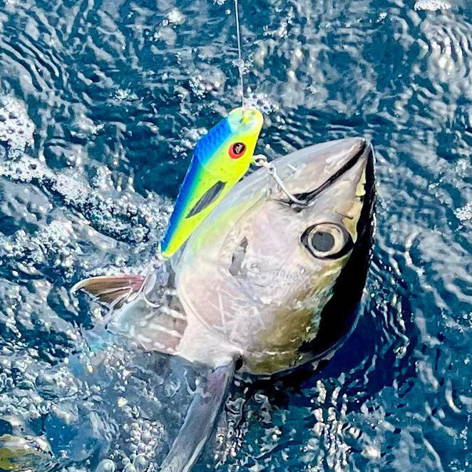 Erratica UV™ — Erratic Action Tuna & Mahi Lure (5" & 7")